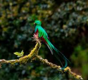 Parque Nacional Los Quetzales